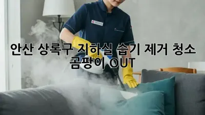 안산 상록구 지하실 습기 제거 청소, 곰팡이 OUT! 💦