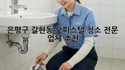 은평구 갈현동 오피스텔 청소 전문 업체 추천