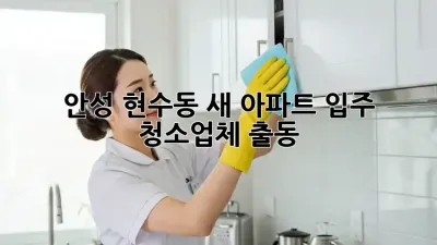 안성 현수동 새 아파트 입주? 청소업체 출동!